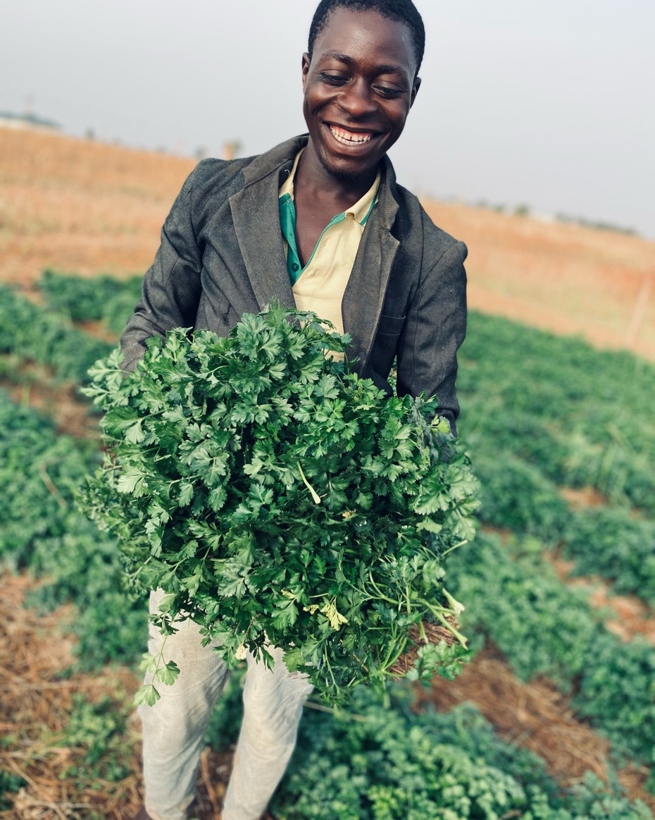 Parsley - 50g